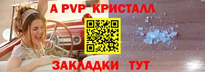 крисы Новодвинск