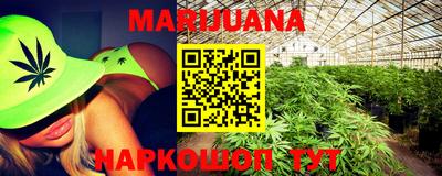крисы Новодвинск