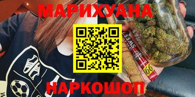 крисы Новодвинск