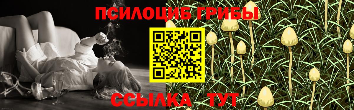 Топки  Псилоцибиновые грибы Psilocybine cubensis  Вход с VPN  Псилоцибиновые грибы мицелий 