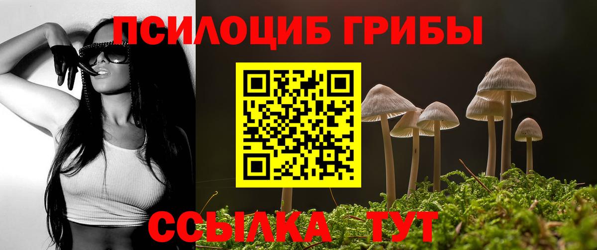 Галлюциногенные грибы Psilocybe Топки